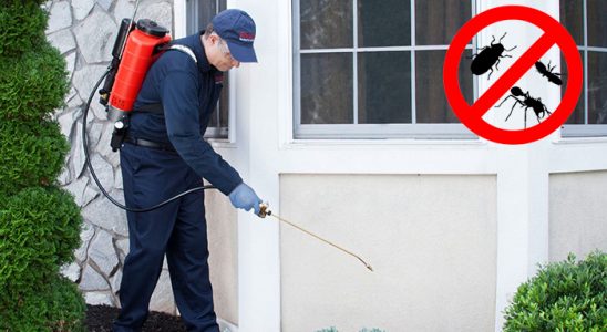 Çiftlikköy Tahtakurusu İlaçlama böcek ilaçlama ve haşere kontrolü — ilaclama-tr.com